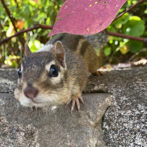 Meet your Posher, Fred